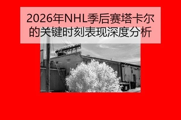 2026年NHL季后赛塔卡尔的关键时刻表现深度分析