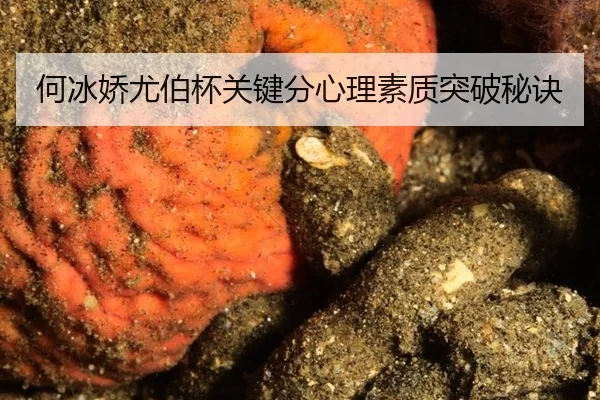 he-bing-jiao-you-bo-bei-guan-jian-fen-xin-li-su-zhi-tu-po-mi-jue-3-709.jpg
