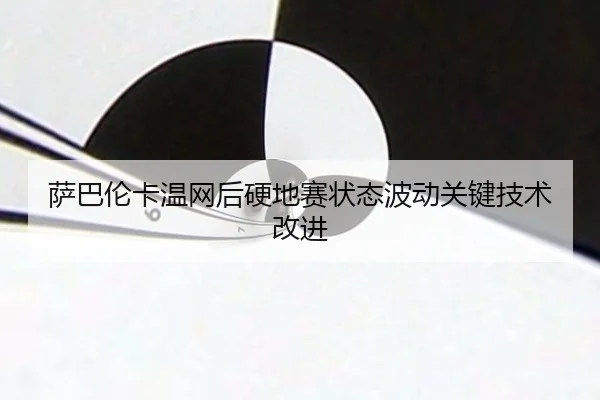 sa-ba-lun-ka-wen-wang-hou-ying-di-sai-zhuang-tai-bo-dong-guan-jian-ji-shu-gai-jin-3-423.jpg