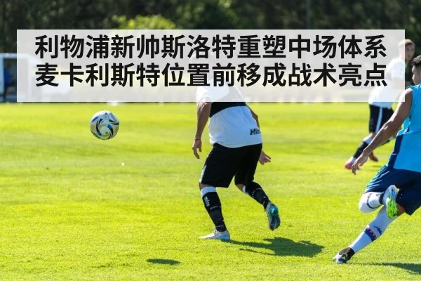 利物浦新帅斯洛特重塑中场体系 麦卡利斯特位置前移成战术亮点