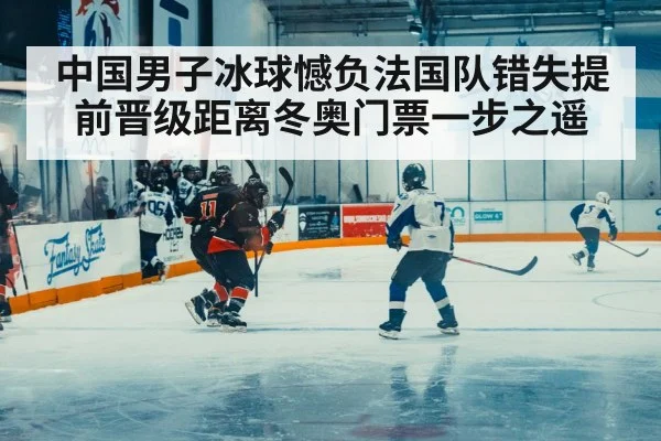 中国男子冰球憾负法国队错失提前晋级距离冬奥门票一步之遥
